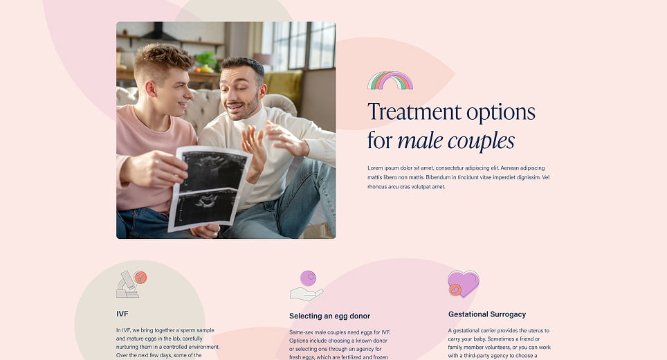 Boston IVF website screen 3