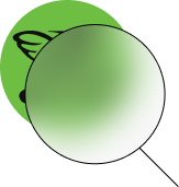 magnifying glass